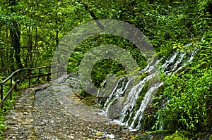 Wellspring and cascade at Tara mountain and national park photo