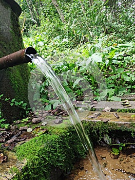 Wellspring with clear drinking water in the forest. A pure, fresh, drinking water from natural source.