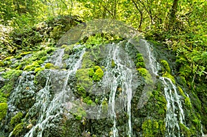 Wellspring with small cascades at Tara mountain and national park