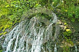 Wellspring with small cascades at Tara mountain and national park photo