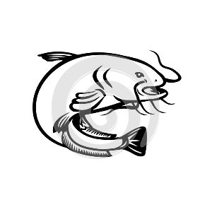 Wels Catfish Jumping Side Retro Black and White