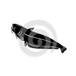 Wels Catfish or Sheatfish a Species of Large Catfish Going Up Retro Woodcut Black and White Style photo