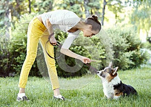 Welsh Corgi dog being punished for bad behavior by owner with finger pointing at him.