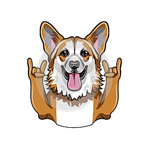 Welsh corgi dog. Horns, Rock gesture. Cute corgi dog portrait. Vector.