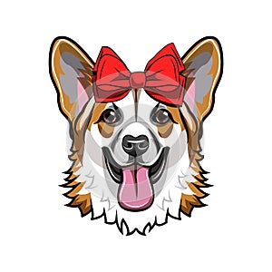 Welsh corgi. Red bow. Smiling dog. Corgi cute portrait. Vector.