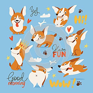 Welsh Corgi various characters doing various activities