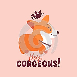 Welsh corgi vector illustration. Cute dog and funny lettering