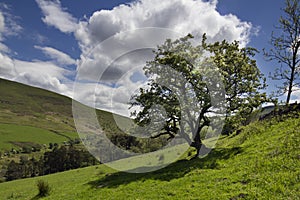 Welsh countryside in the brecon beacons