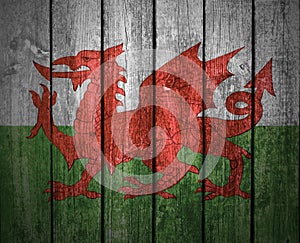Welsh dragon on wooden fence