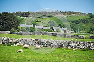 Welsh farmyard