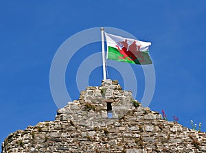 Welsh Flag photo