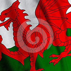 Welsh Flag Closeup