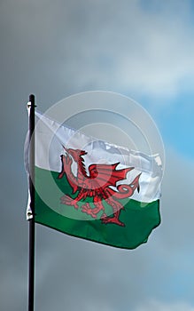 Welsh Flag