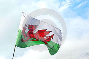 Welsh  flag  symbol of  wales St Davids day