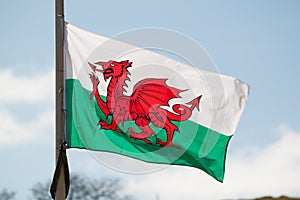 Welsh National Flag Flying in the Wind against Blue Sky photo