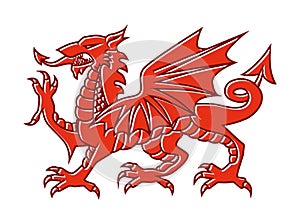 Welsh red Dragon on white background, Vector illustration of Fantasy Monster illustrated on national flag on Wales.