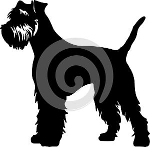 Welsh Terrier Black Silhouette Generative Ai