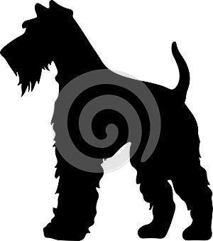 Welsh Terrier Black Silhouette Generative Ai