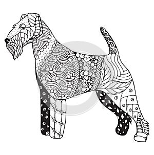 Welsh terrier dog zentangle stylized, vector, illustration, free