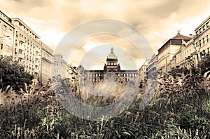 Wenceslas square in the summer, Prague