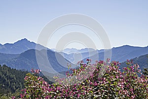 Wendelstein and Breitenstein