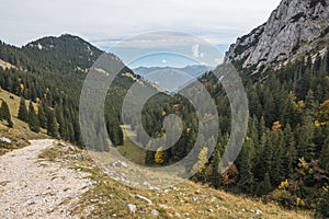 From Wendelstein through the forest to Brannenburg