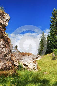Wental, Felsenmeer in the Swabian Alb, Baden-WÃÂ¼rttemberg, Germany photo