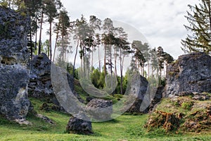 Wental, Felsenmeer in the Swabian Alb, Baden-WÃÂ¼rttemberg, Germany photo