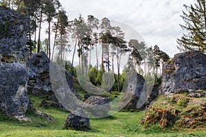 Wental, Felsenmeer in the Swabian Alb, Baden-WÃÂ¼rttemberg, Germany