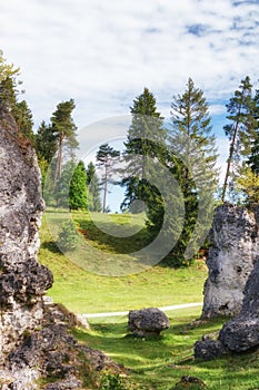 Wental, Felsenmeer in the Swabian Alb, Baden-WÃÂ¼rttemberg, Germany photo