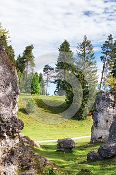 Wental, Felsenmeer in the Swabian Alb, Baden-WÃÂ¼rttemberg, Germany