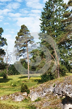 Wental, Felsenmeer in the Swabian Alb, Baden-WÃÂ¼rttemberg, Germany