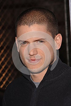Wentworth Miller