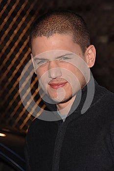 Wentworth Miller