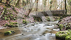 Wepre Park - Eweloe North Wales