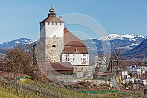 Werdenberg Castle and Austrian mountains