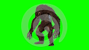 Were bear 3d render image