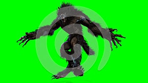 Werewolf 3d render