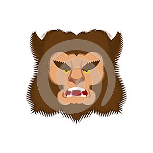 Werewolf face isolated. Wolf man head. werwolf Monster. wolfman monstrosity vector illustration