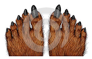Werewolf Feet photo