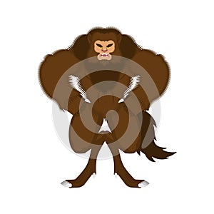 Werewolf isolated. werwolf Monster. wolfman monstrosity vector illustration