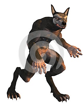 Werewolf on white background photo