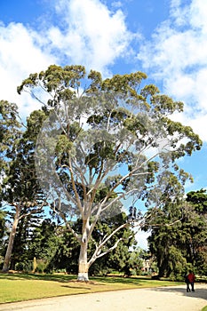 Werribee park in melbourne,australia