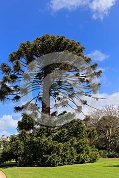 Werribee park in melbourne,australia