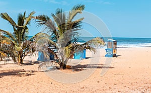 West Africa Gambia - paradise beach and palm tree