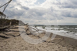 West beach DarÃŸ, baltic sea