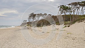 West beach DarÃŸ, baltic sea