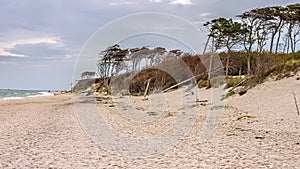 West beach DarÃŸ, baltic sea