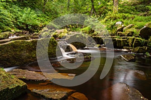 West Beck at Mallyan Spout