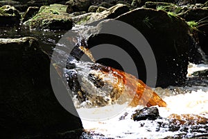 West Beck River, Goathland, North Yorkshire.